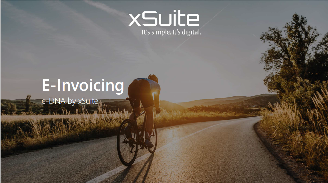 Screenshot_Einvoicing_eDNA